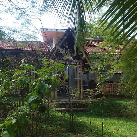 טנגלה Home In The Island מראה חיצוני תמונה