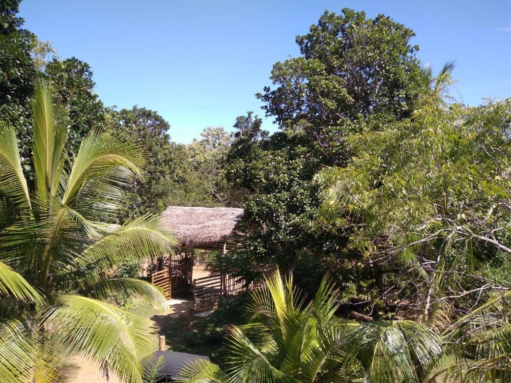 טנגלה Home In The Island מראה חיצוני תמונה