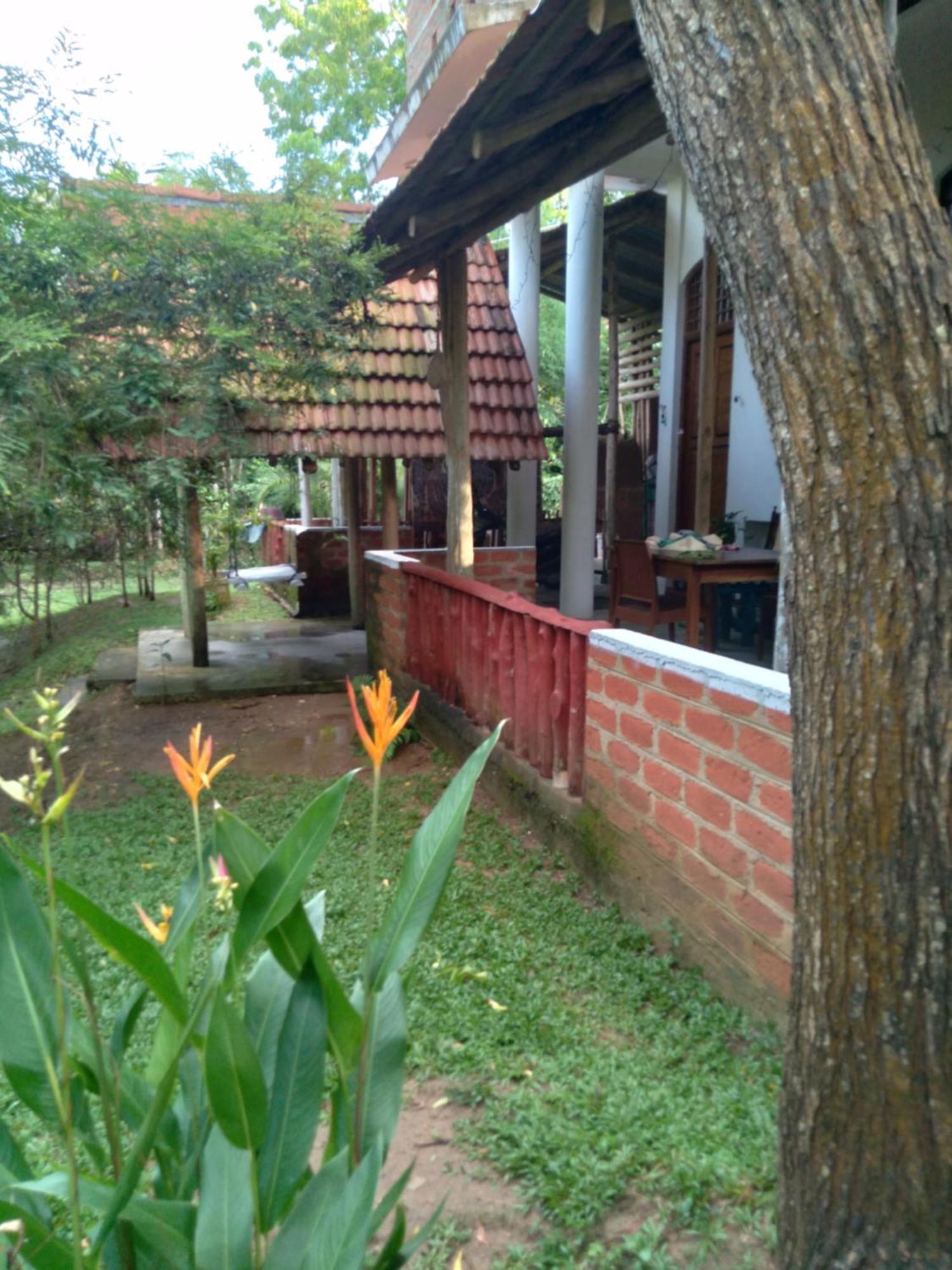 טנגלה Home In The Island מראה חיצוני תמונה