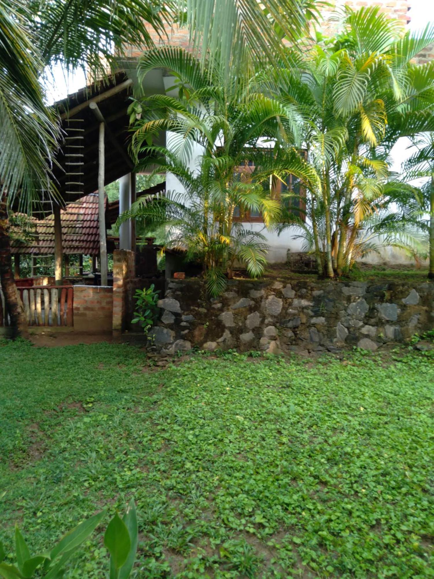 טנגלה Home In The Island מראה חיצוני תמונה