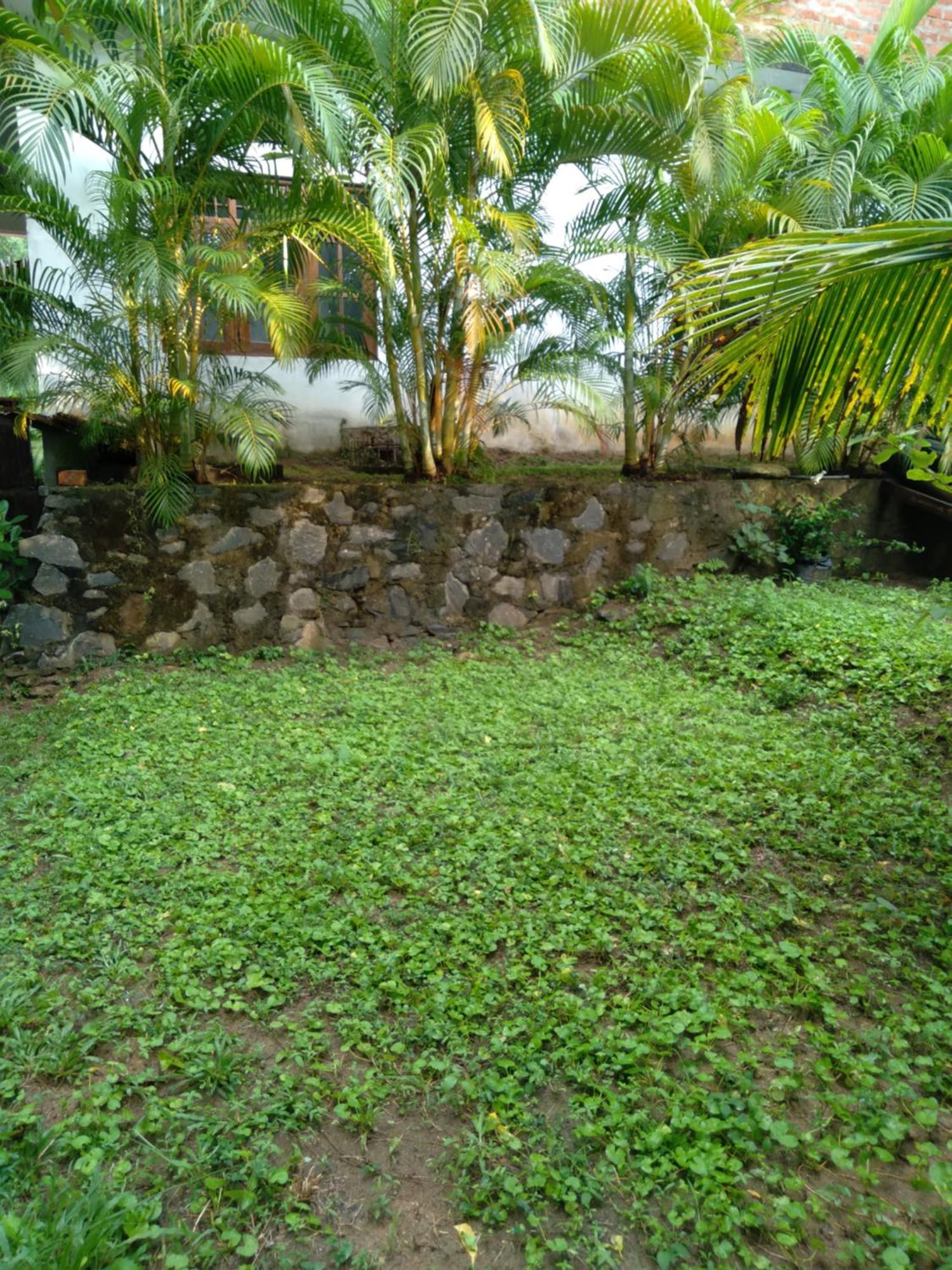 טנגלה Home In The Island מראה חיצוני תמונה