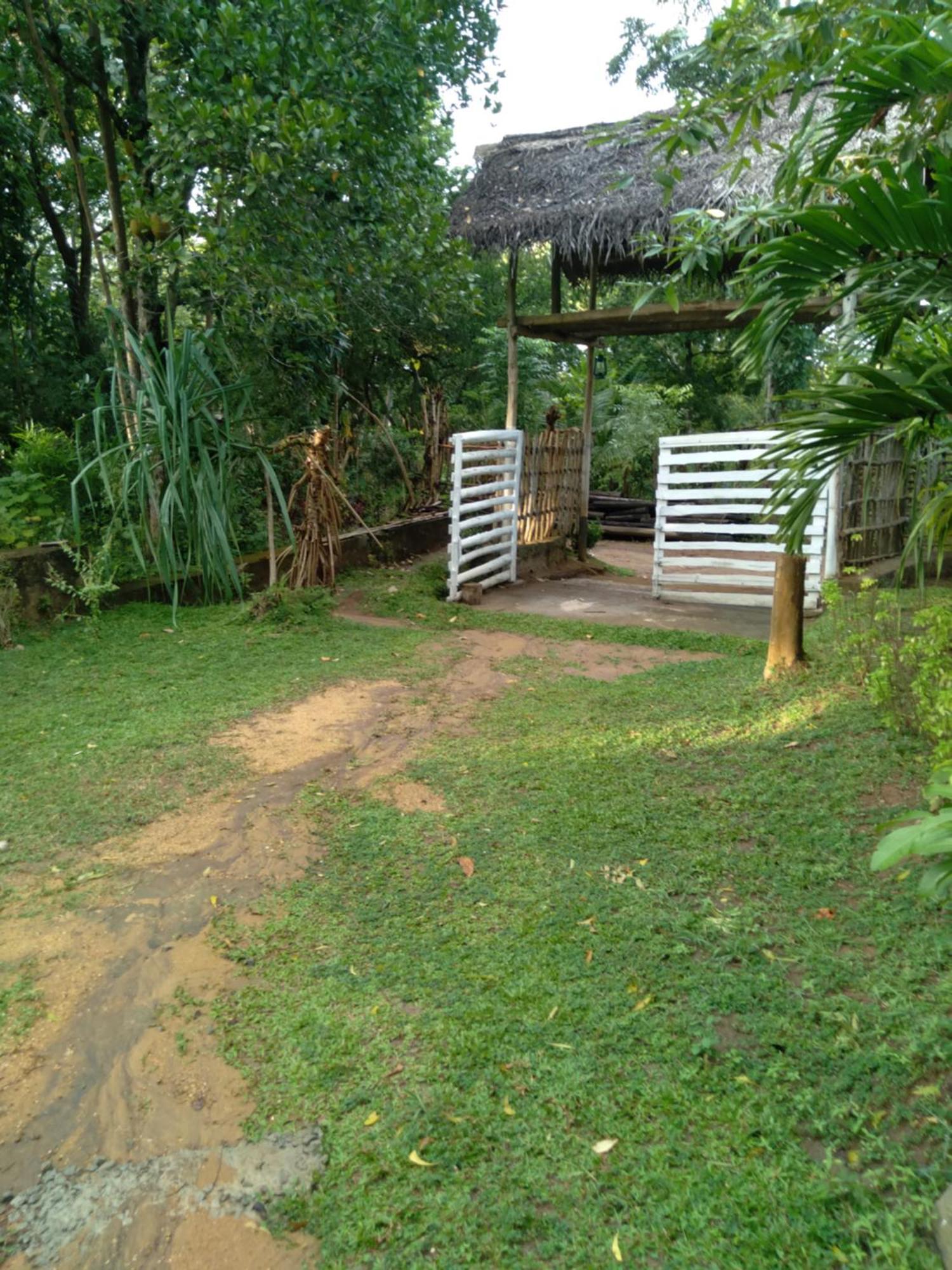 טנגלה Home In The Island מראה חיצוני תמונה