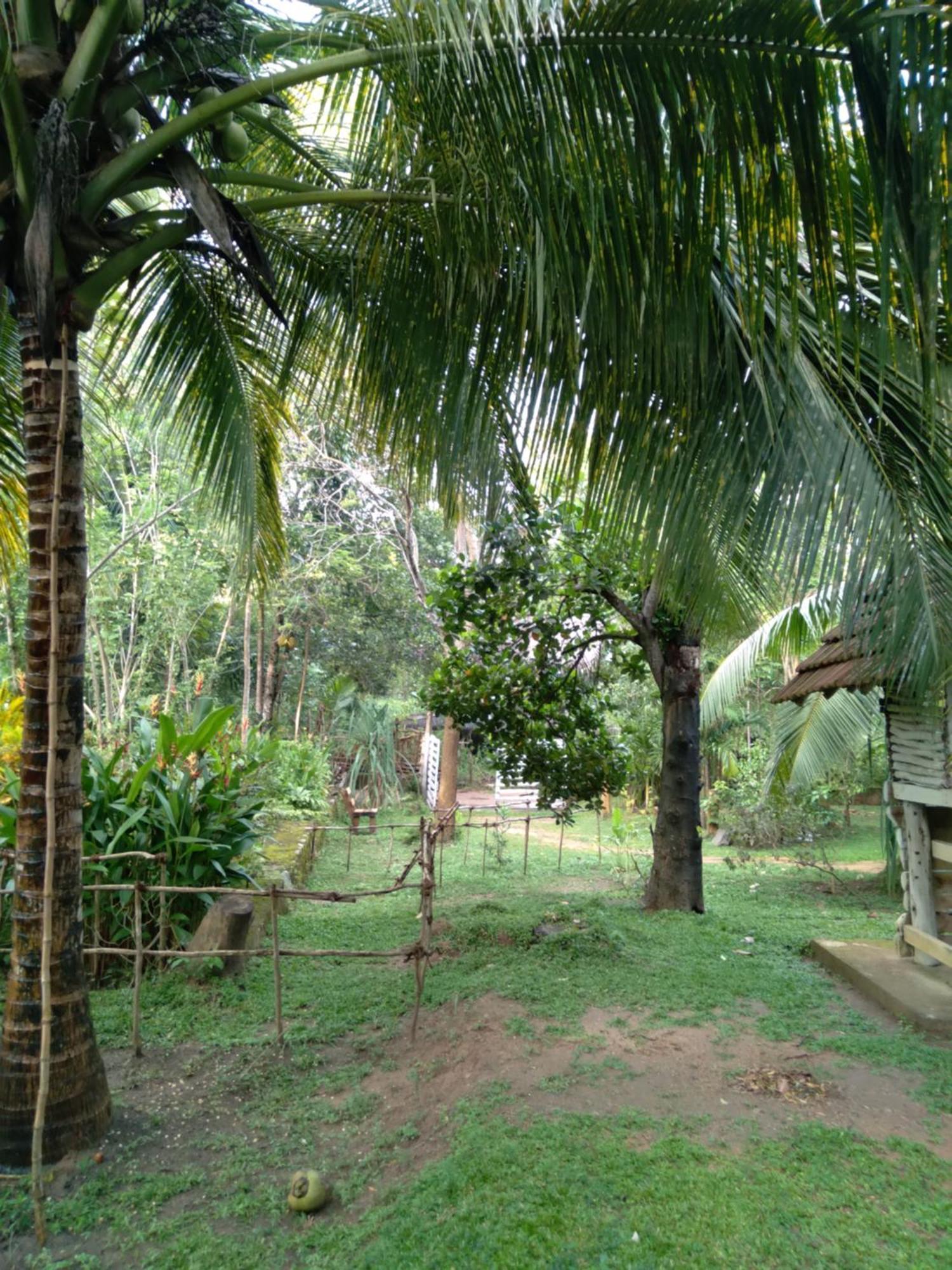טנגלה Home In The Island מראה חיצוני תמונה