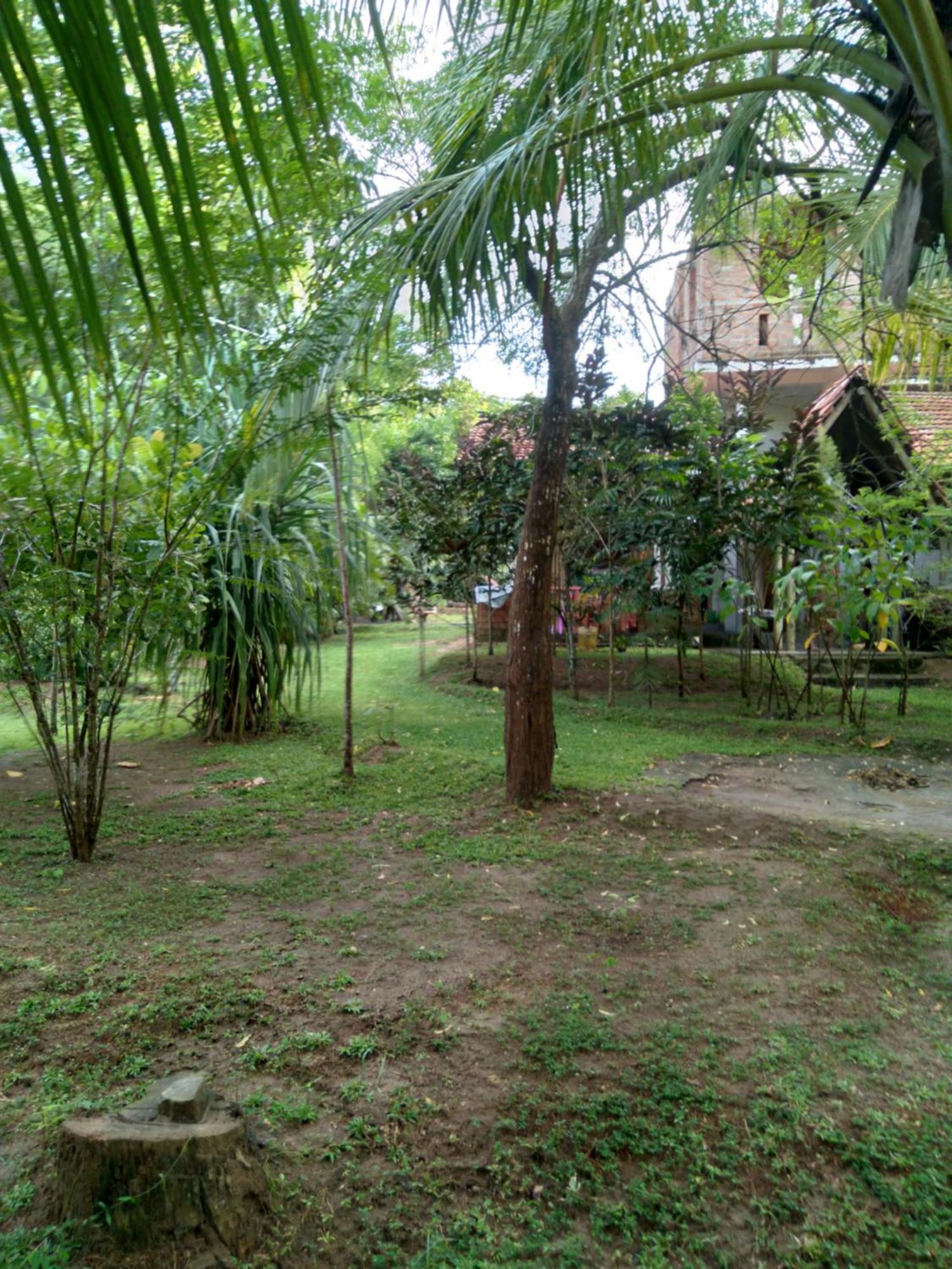 טנגלה Home In The Island מראה חיצוני תמונה